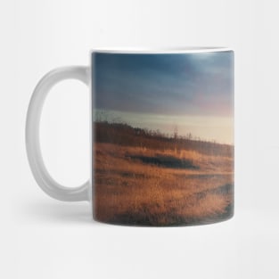 the perfect stranger Mug